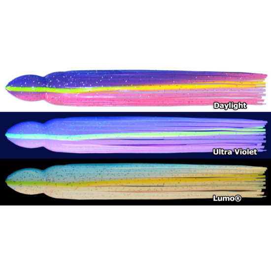 Size 25 Blue / Pink Lumo