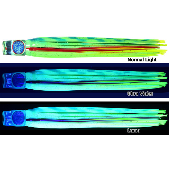 Cockroach Lumo Daisy Chain Rigged 6' Leader with Pouch 