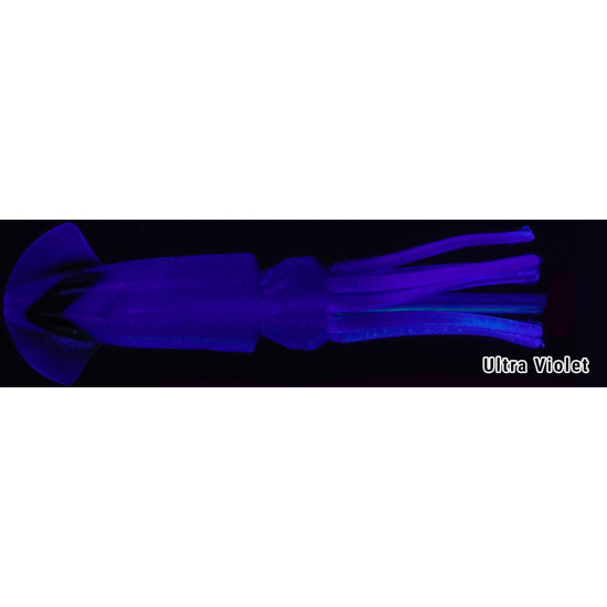 No Brainer 7" Violet UV2 Squid